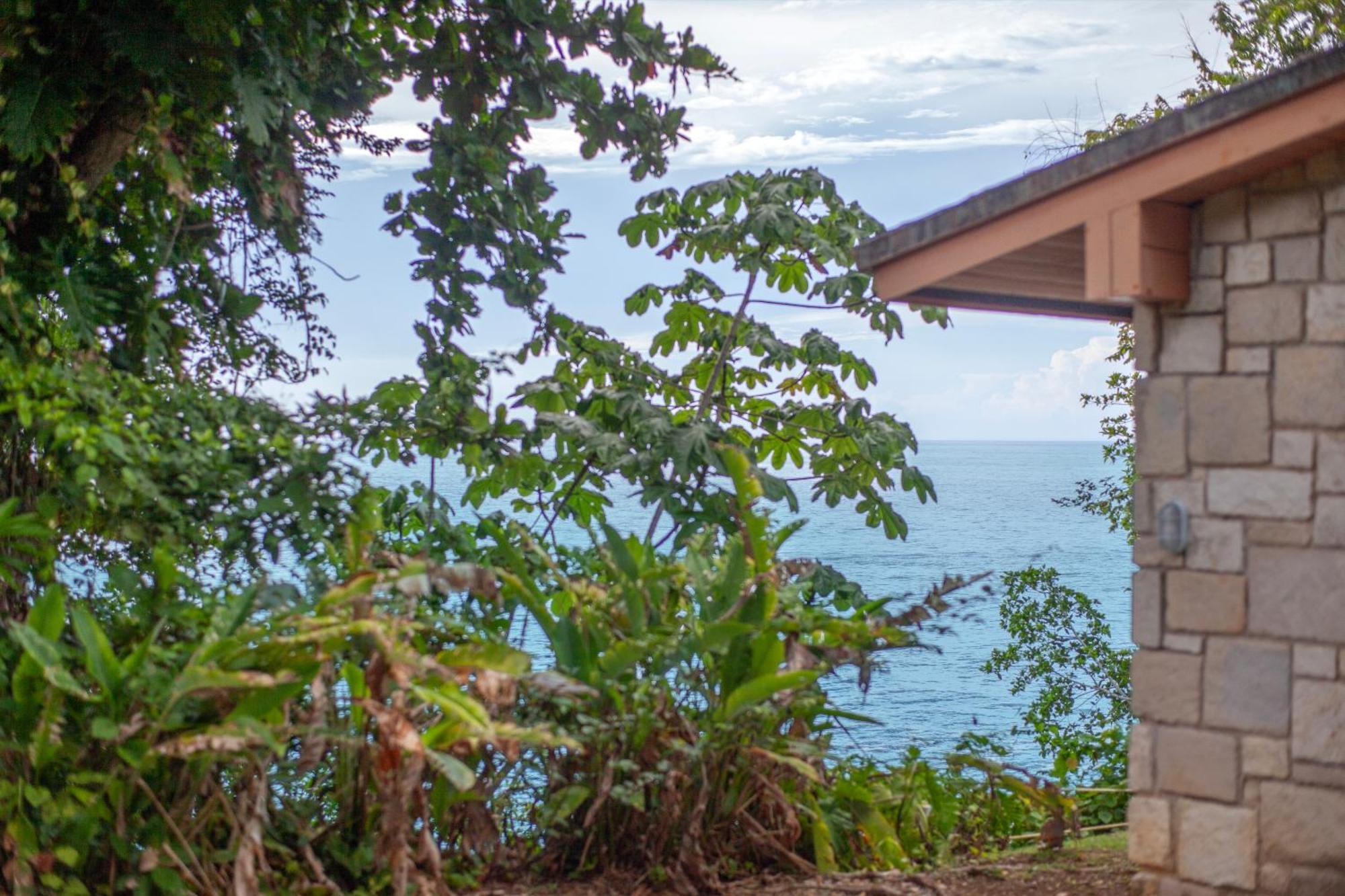 Frenchman'S Cove Resort Порт Антонио Екстериор снимка