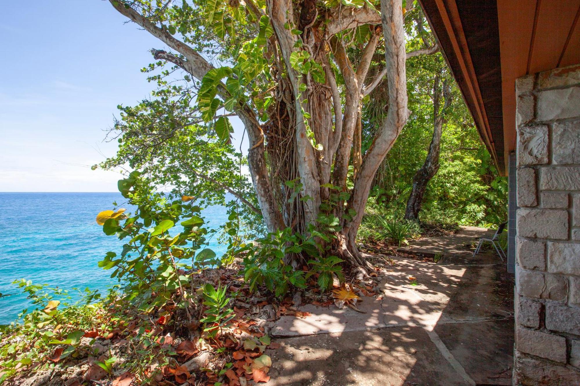 Frenchman'S Cove Resort Порт Антонио Екстериор снимка